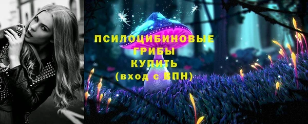 spice Абаза