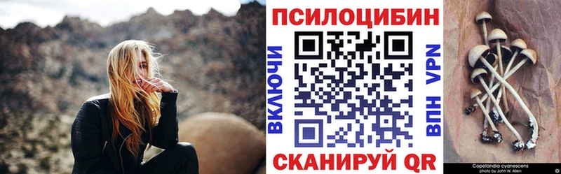 где купить наркоту  Новотроицк  Псилоцибиновые грибы Psilocybine cubensis 